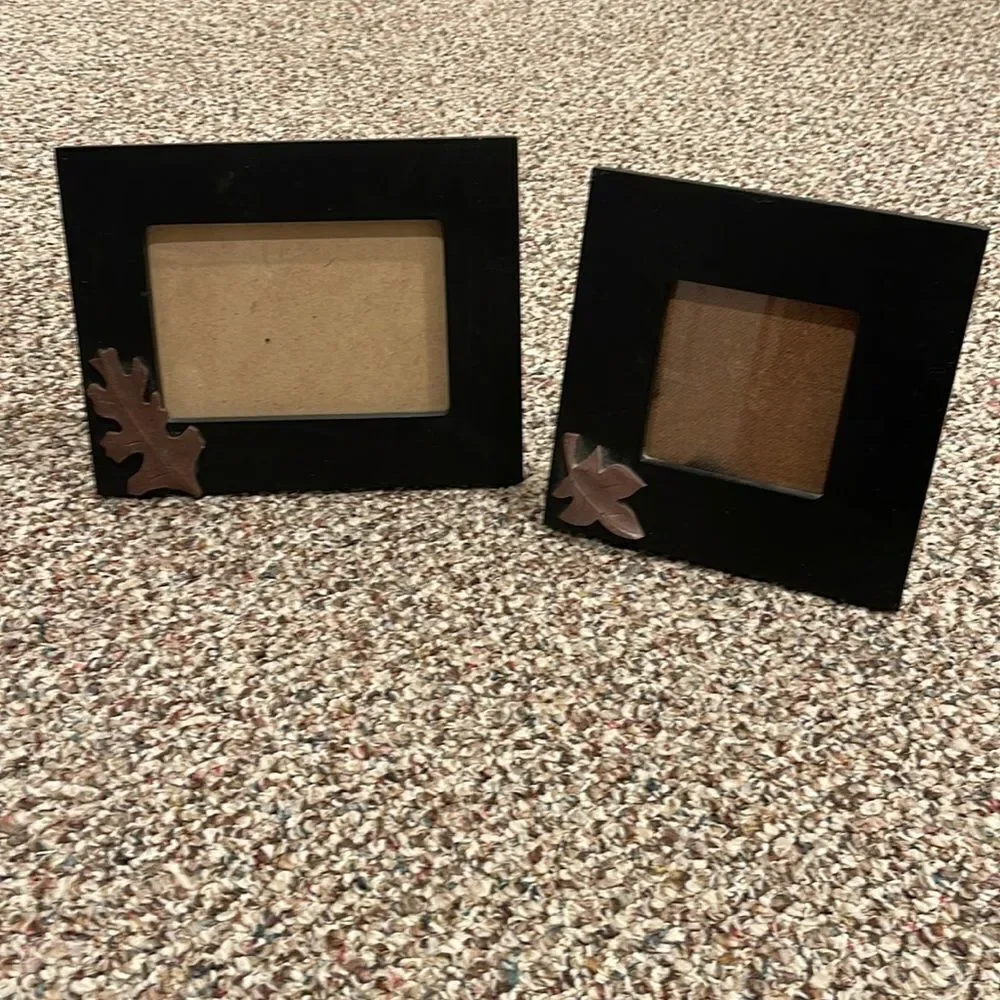 Pier 1 Leaf application picture frame bundle (2)
